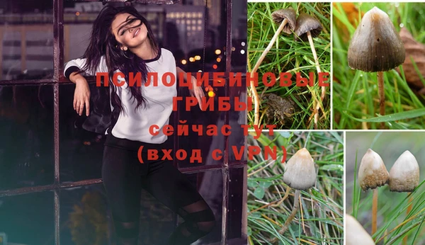 spice Касимов