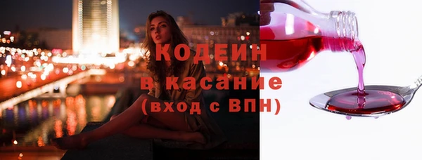 твердый Карпинск