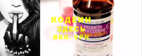 твердый Карпинск