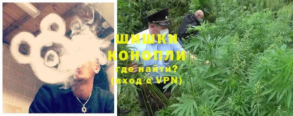 гидра Кинешма