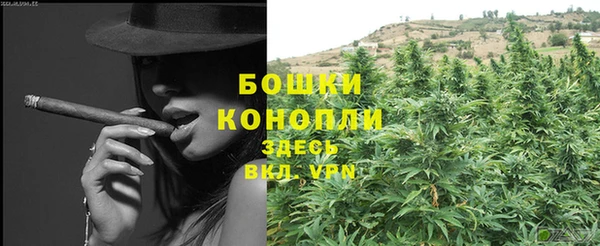 твердый Карпинск