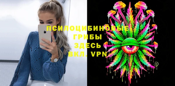 прущие грибы Киреевск